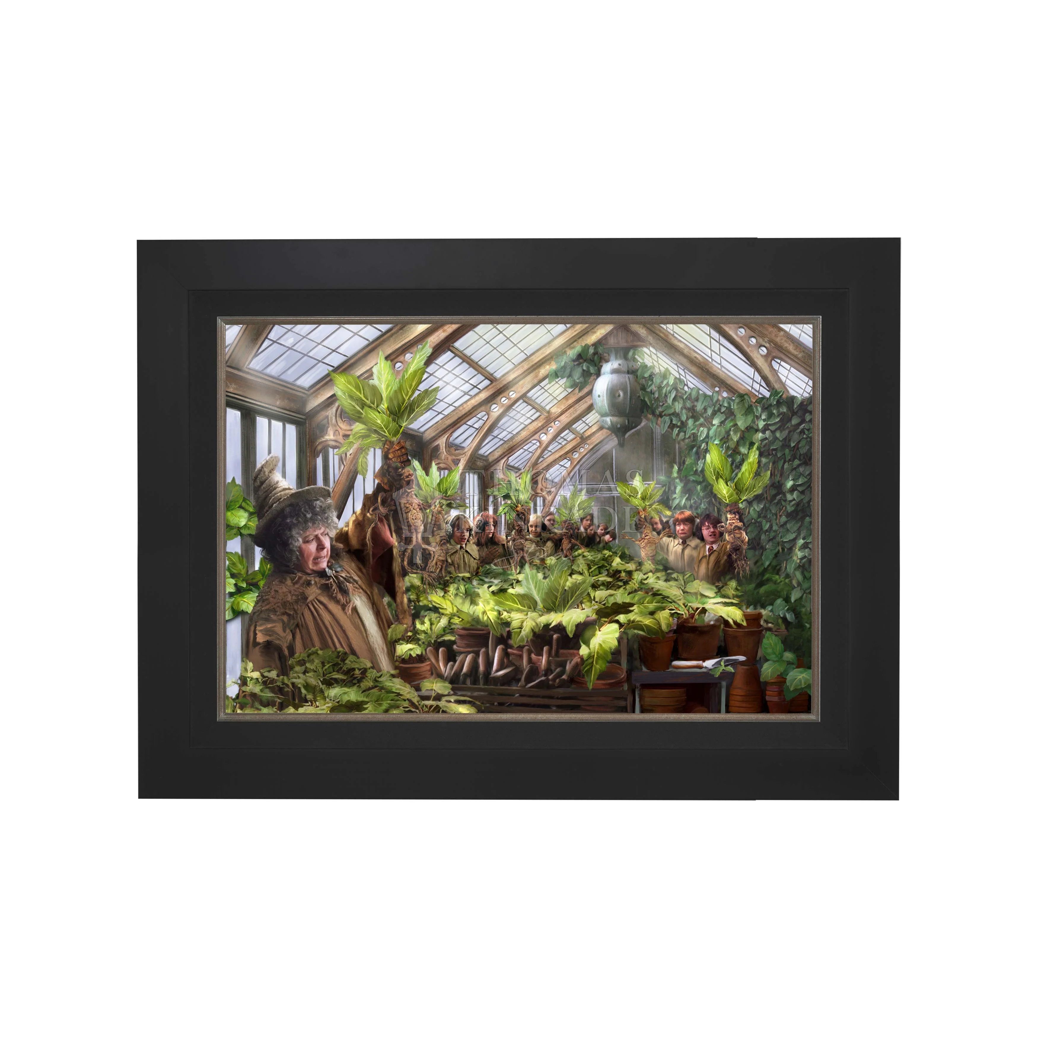 Harry Potter™ Hogwarts™ Greenhouse - Limited Edition Canvas - Image 10