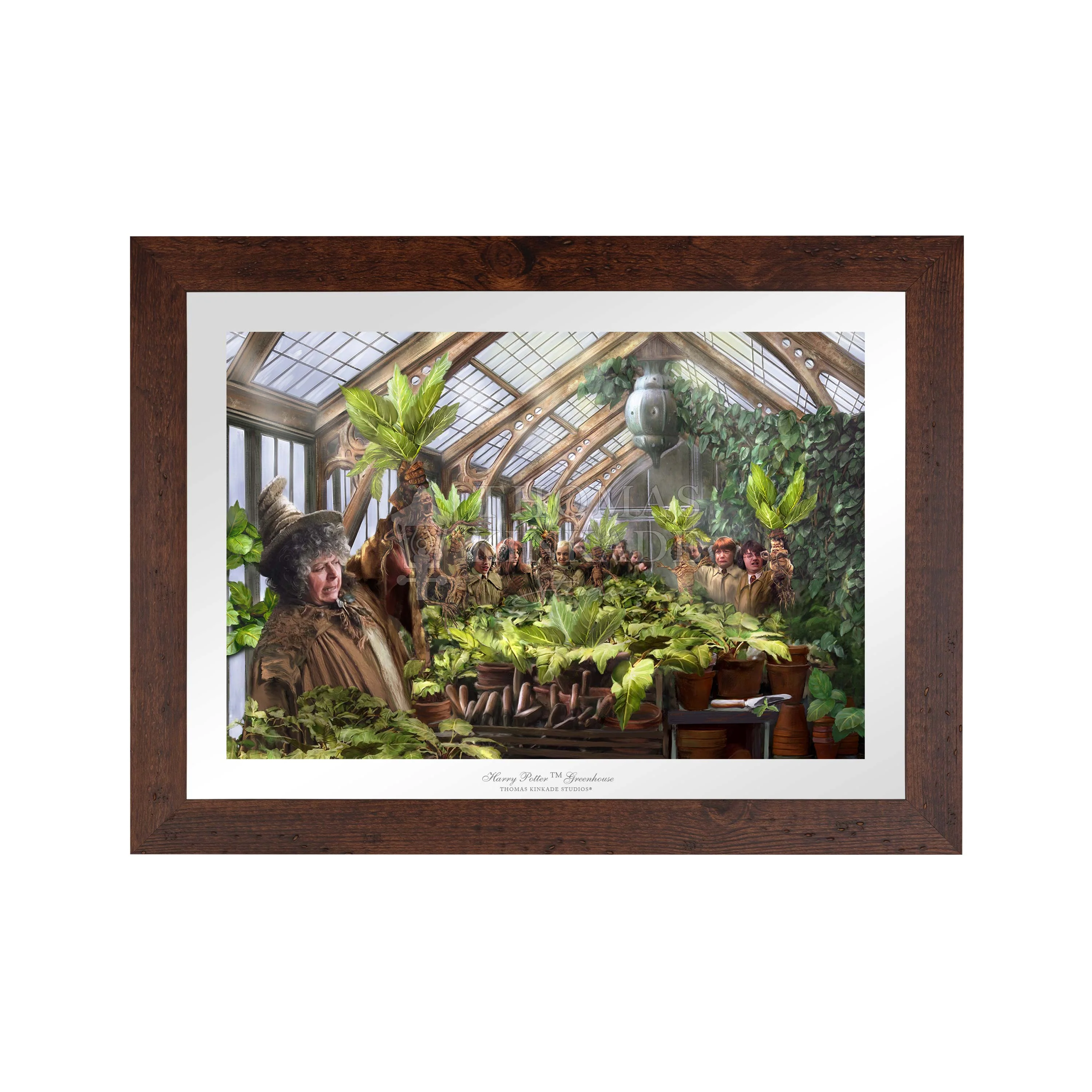 Harry Potter™ Hogwarts™ Greenhouse - Limited Edition Paper