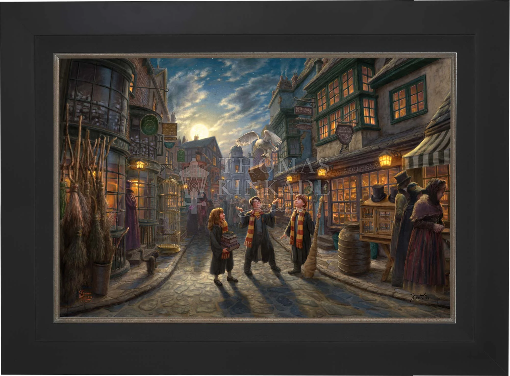 Harry Potter™ Diagon Alley™ - Limited Edition Canvas - Image 9