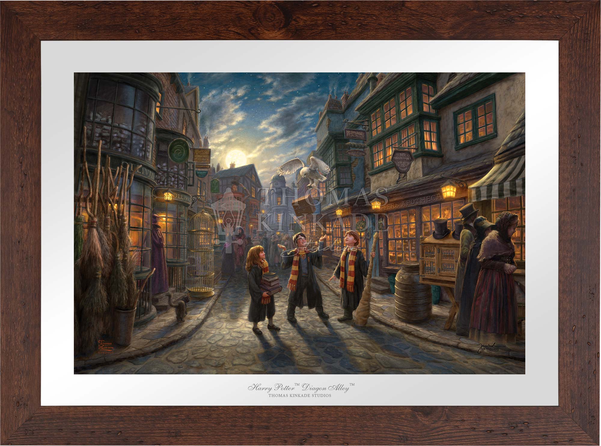 Harry Potter™ Diagon Alley™ - Limited Edition Paper